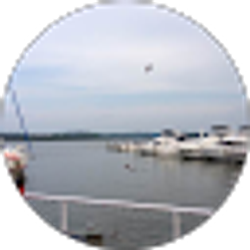 Profile photo of 홍미경