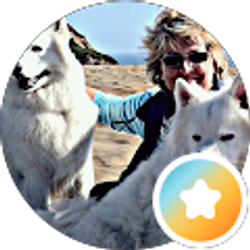 Profile photo of Jaye Schissel