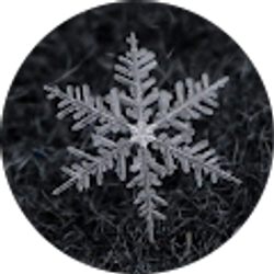 Profile photo of Amy Miller