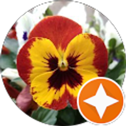 Profile photo of Sean