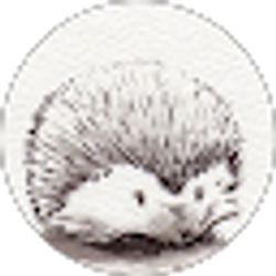 Profile photo of Alli Jay