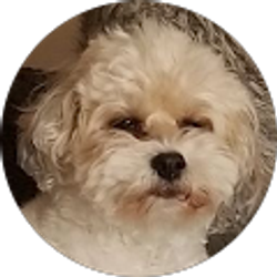 Profile photo of Ignacio retama