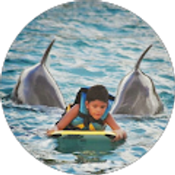 Profile photo of Luis Carreno