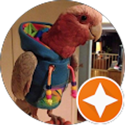 Profile photo of Christian