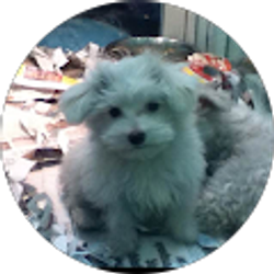 Profile photo of Jon Hern