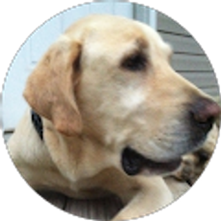 Profile photo of James Perez Jr