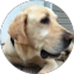 Profile photo of James Perez Jr