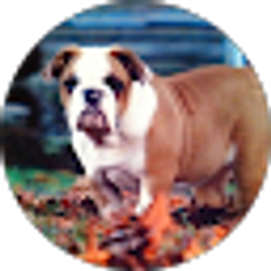 Profile photo of Brenda Fontanos