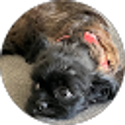 Profile photo of Josh Perez