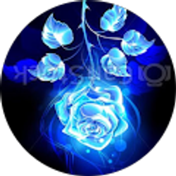 Profile photo of Andrea Urbina