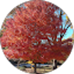 Profile photo of Infinite Evolution