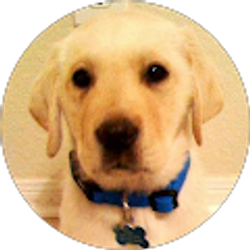 Profile photo of caleb tam