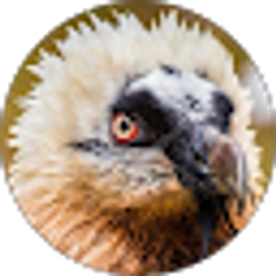 Profile photo of Laila Campbell
