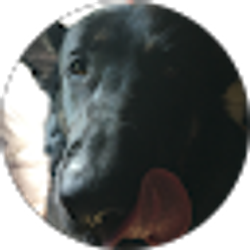 Profile photo of Quin1ey