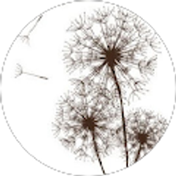 Profile photo of Yelm Prairie Christian Center