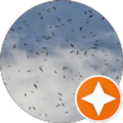 Profile photo of Matt