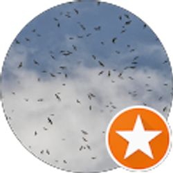 Profile photo of Matt