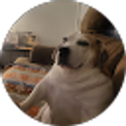 Profile photo of Jennifer Pace