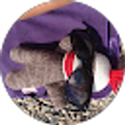 Profile photo of zyra escobedo