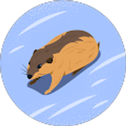 Profile photo of Ricky Picon