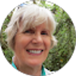 Profile photo of Judi Branstetter