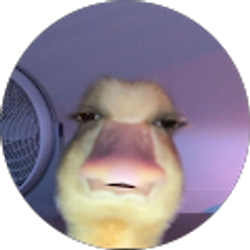 Profile photo of jose martinez