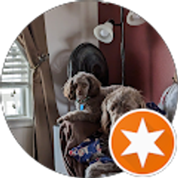 Profile photo of Glenn Long