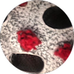 Profile photo of Gamingvids Tj