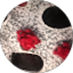 Profile photo of Gamingvids Tj