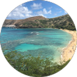 Profile photo of Muse Mohamed