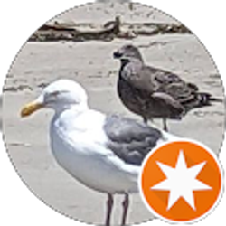 Profile photo of Lori B