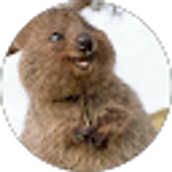 Profile photo of Colton Palmer