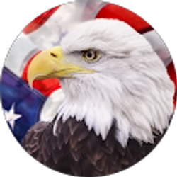 Profile photo of Patriot Forever