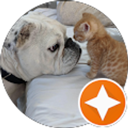 Profile photo of Xenia Varon