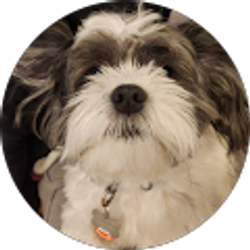 Profile photo of Jennifer Deserio