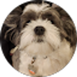 Profile photo of Jennifer Deserio