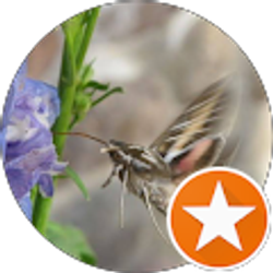 Profile photo of Deborah Beggy