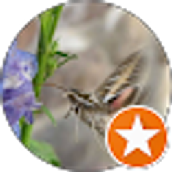 Profile photo of Deborah Beggy