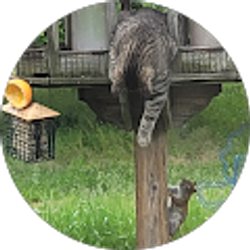 Profile photo of BAK “BAK”