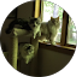 Profile photo of Debbie VanDusen