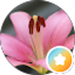 Profile photo of Dololo