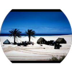 Profile photo of abd ali