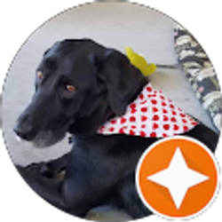 Profile photo of nancy casey