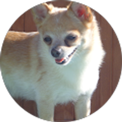 Profile photo of McKenna Grace Fisher