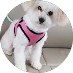 Profile photo of Nitafaye Kinchen