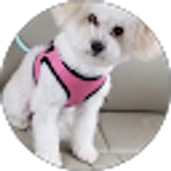 Profile photo of Nitafaye Kinchen