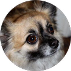 Profile photo of Mark B