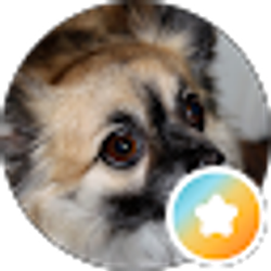 Profile photo of Mark B
