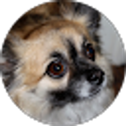 Profile photo of Mark B