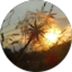 Profile photo of Yvonne Poust